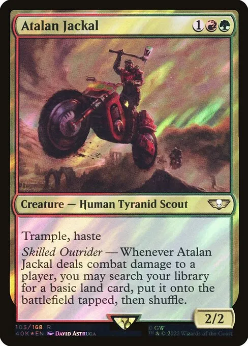 Atalan Jackal