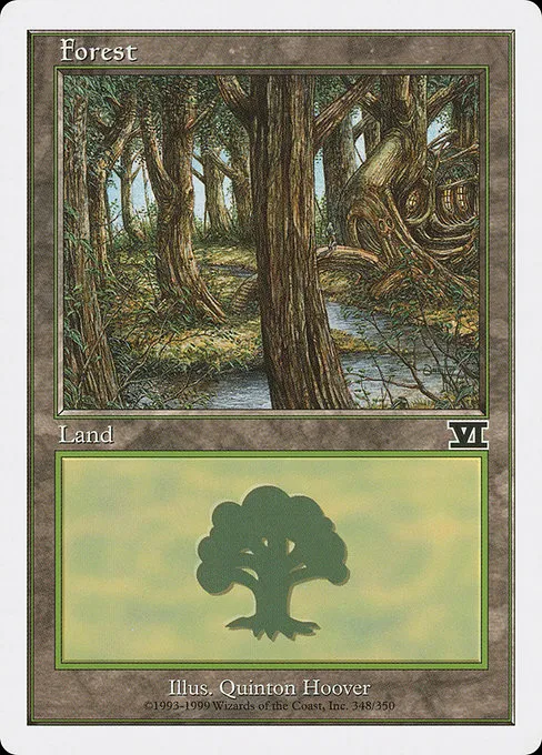 Forest