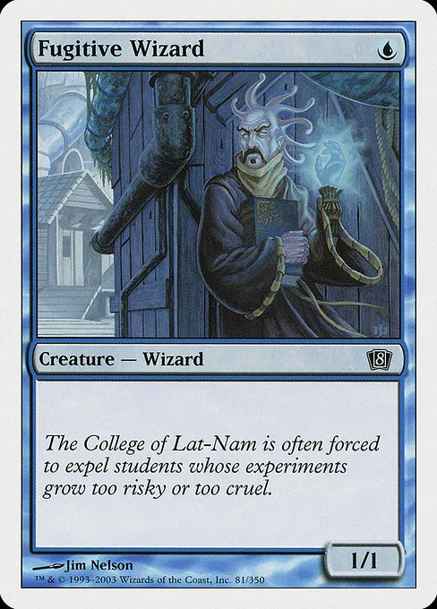 Fugitive Wizard
