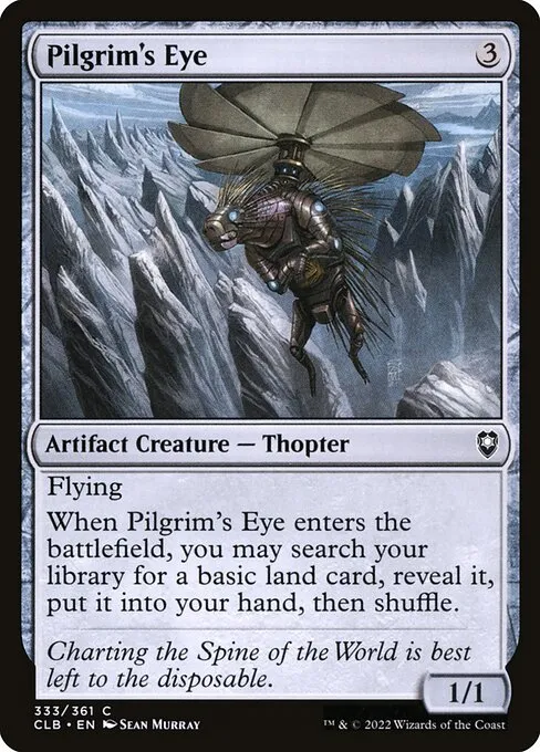Pilgrim's Eye