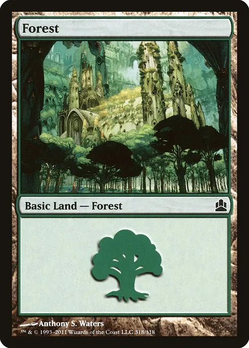 Forest