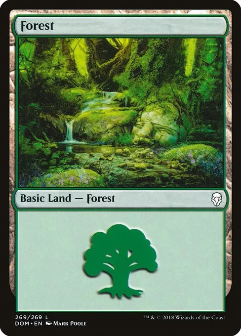 Forest