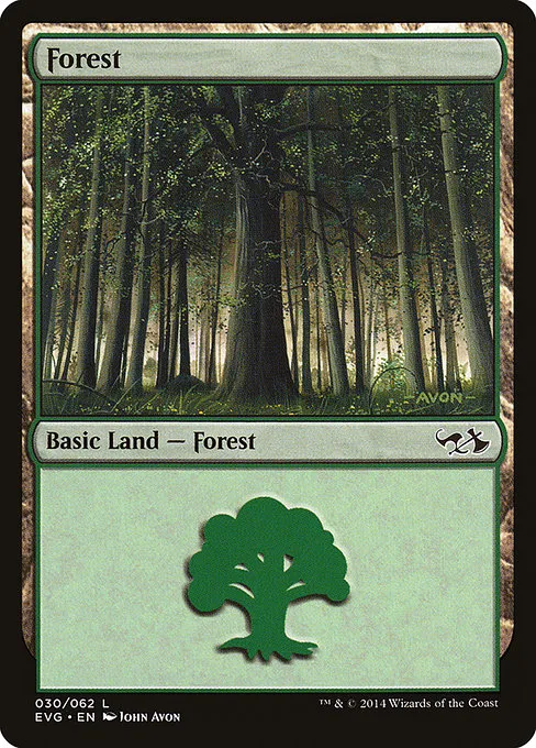 Forest