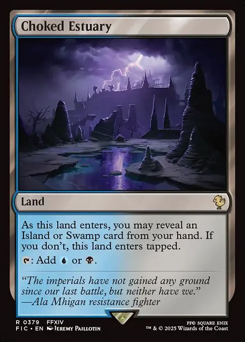 Choked Estuary