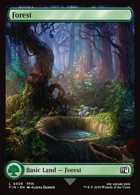 Forest