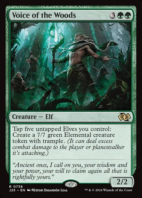 Voice of the Woods