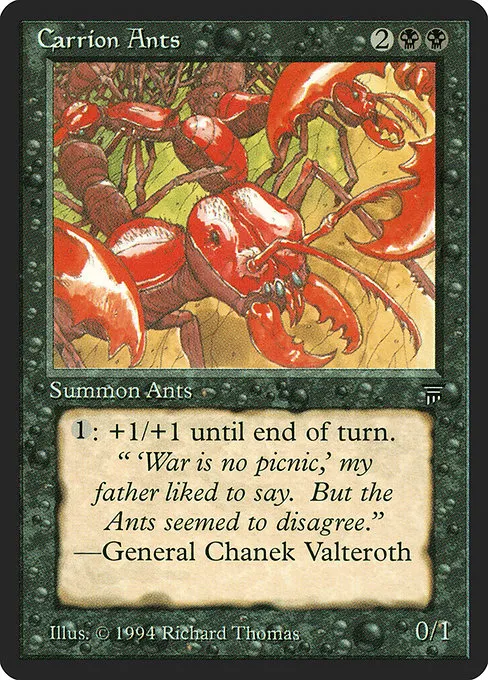 Carrion Ants