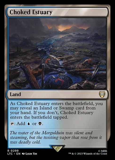 Choked Estuary