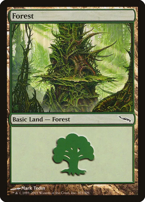Forest