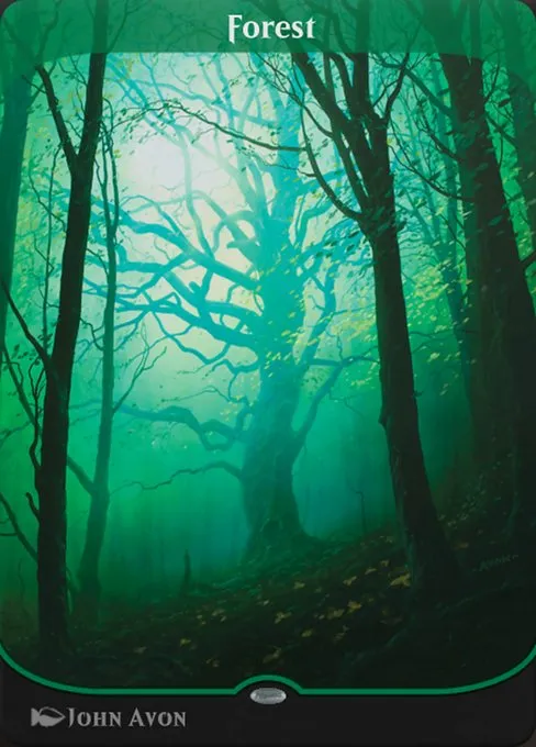 Forest