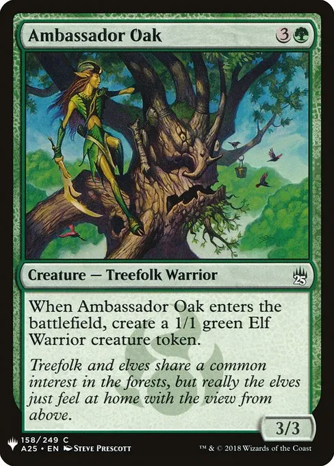 Ambassador Oak