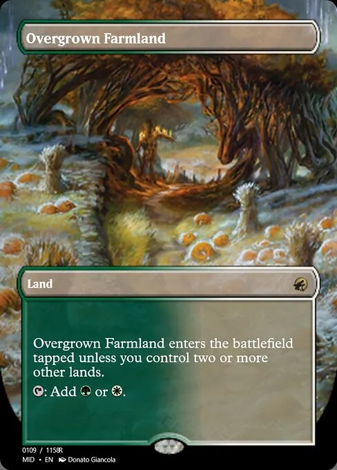 Overgrown Farmland