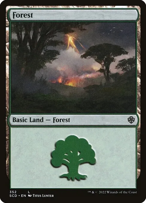 Forest