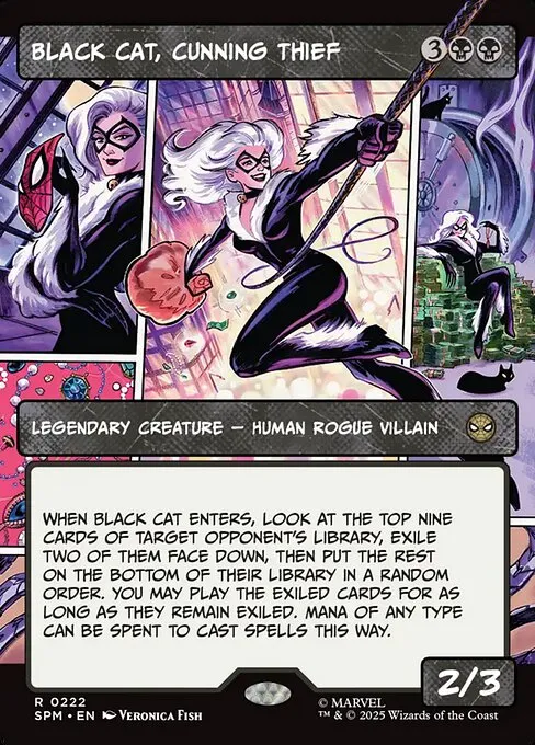 Black Cat, Cunning Thief
