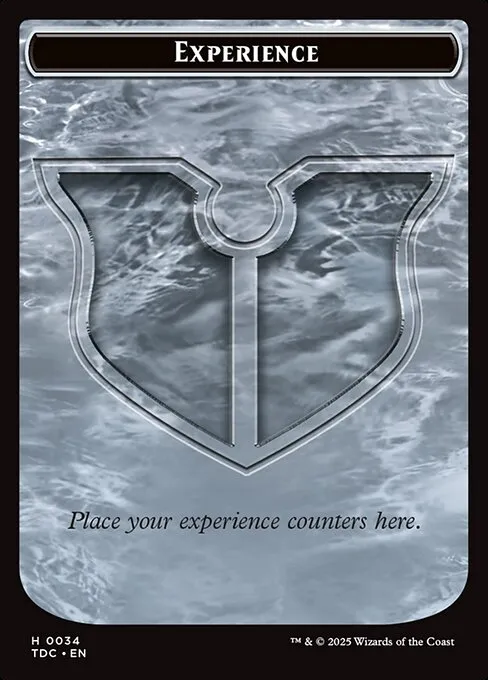 Experience